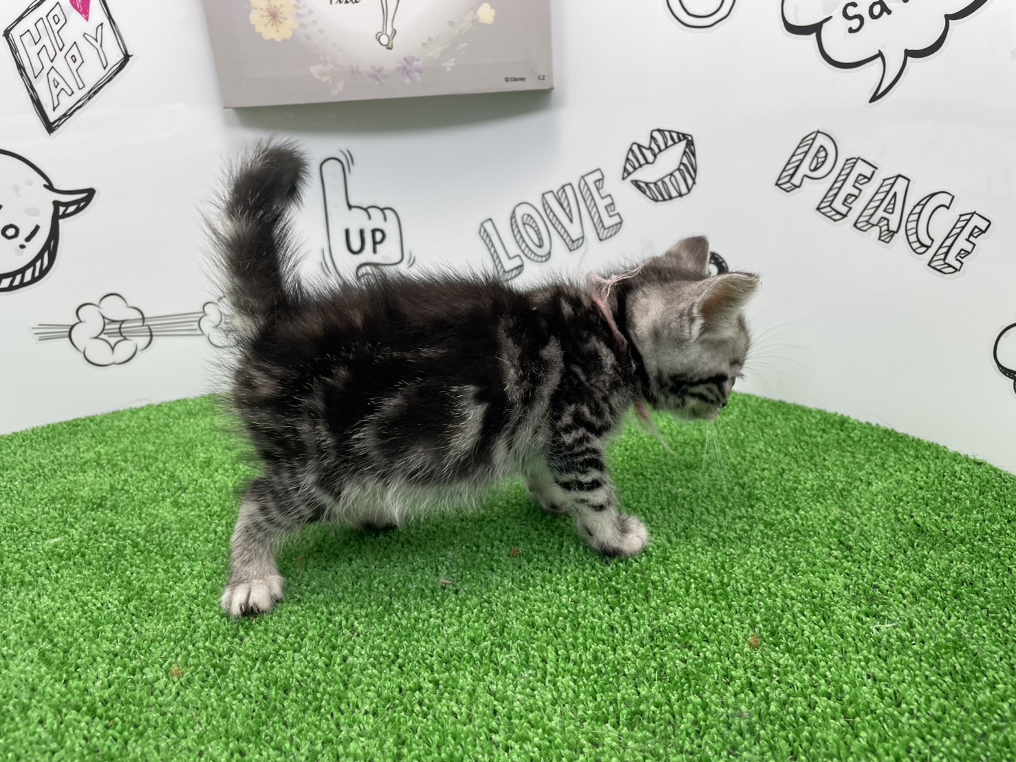 赤ちゃん写真2-2