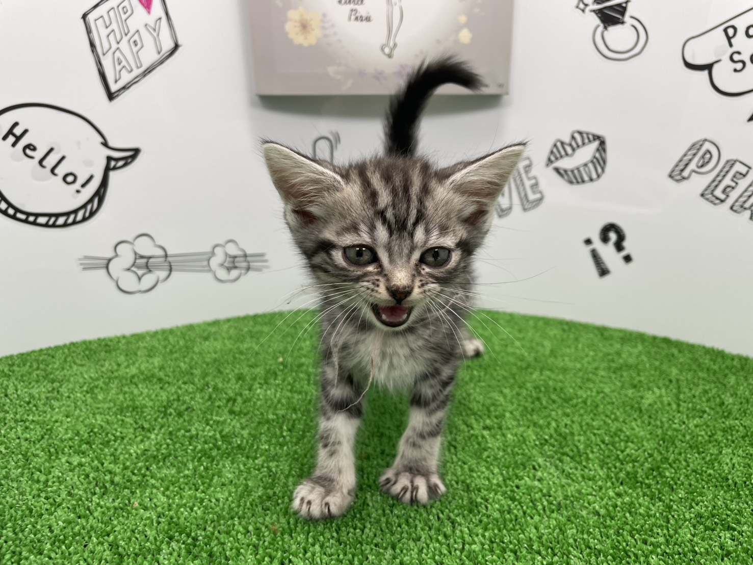 赤ちゃん写真3-1