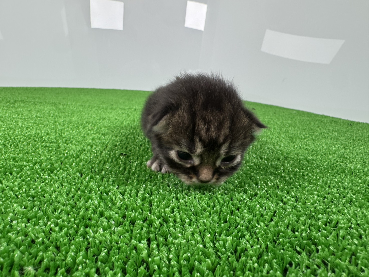 赤ちゃん写真1-1