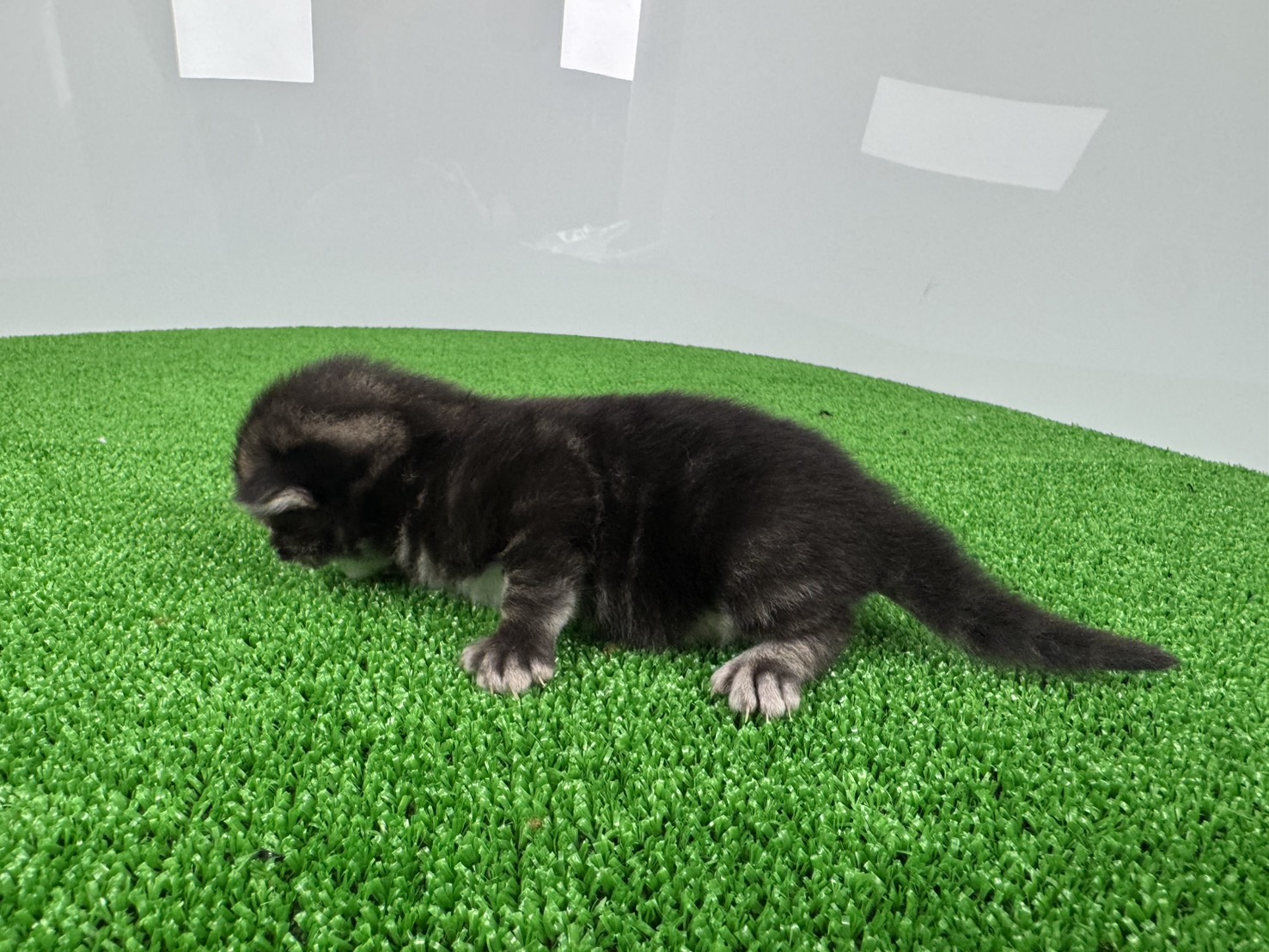 赤ちゃん写真1-2