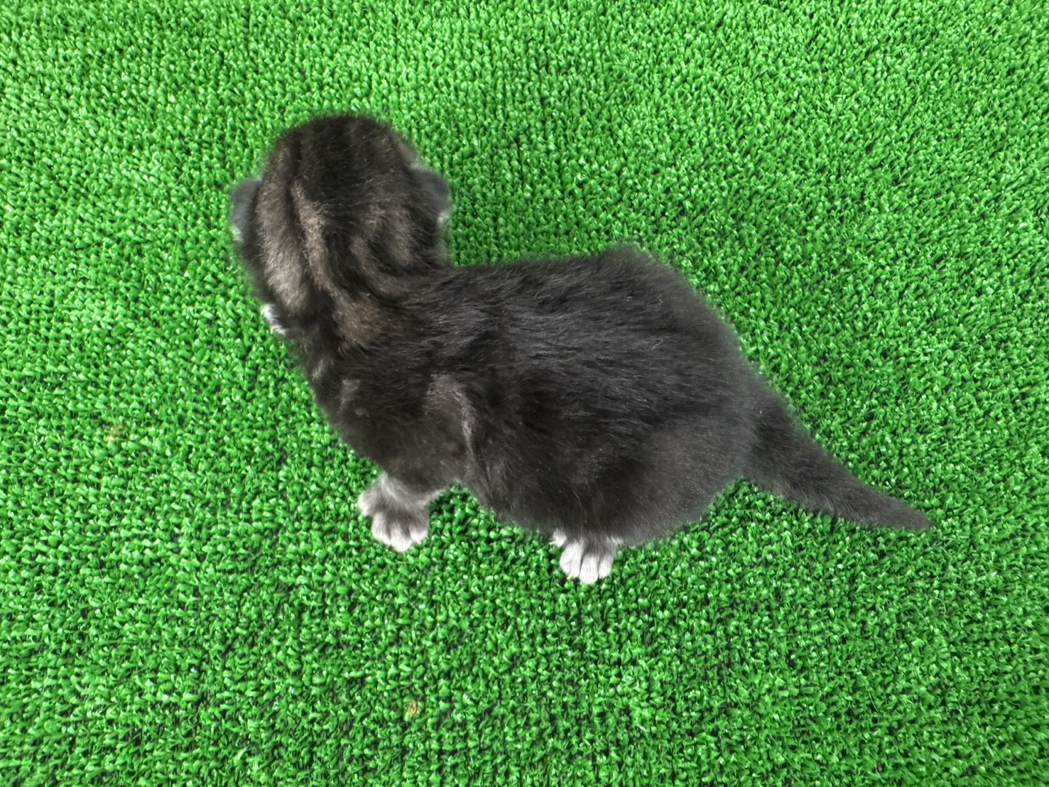 赤ちゃん写真1-3