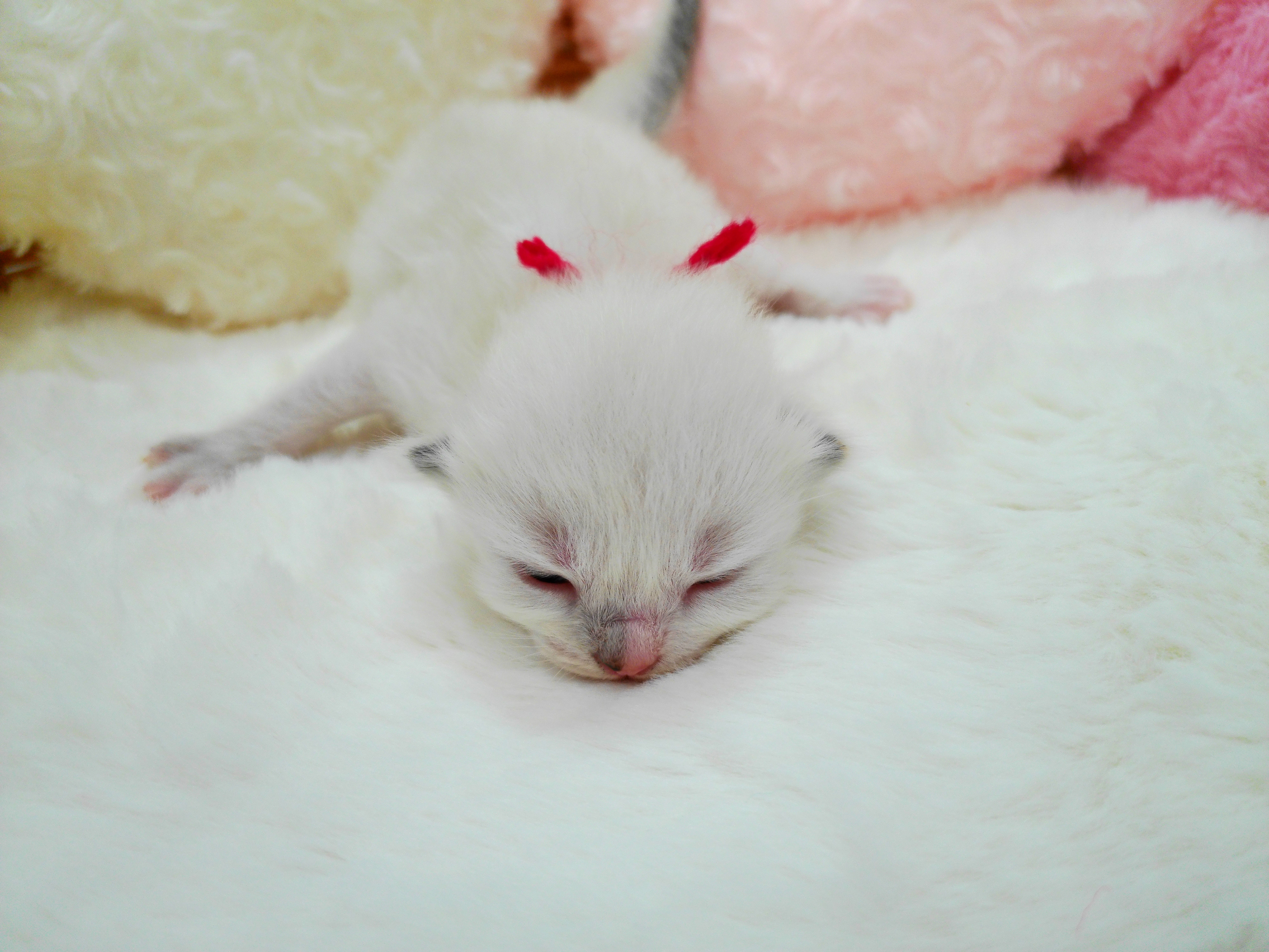 赤ちゃん写真1-1
