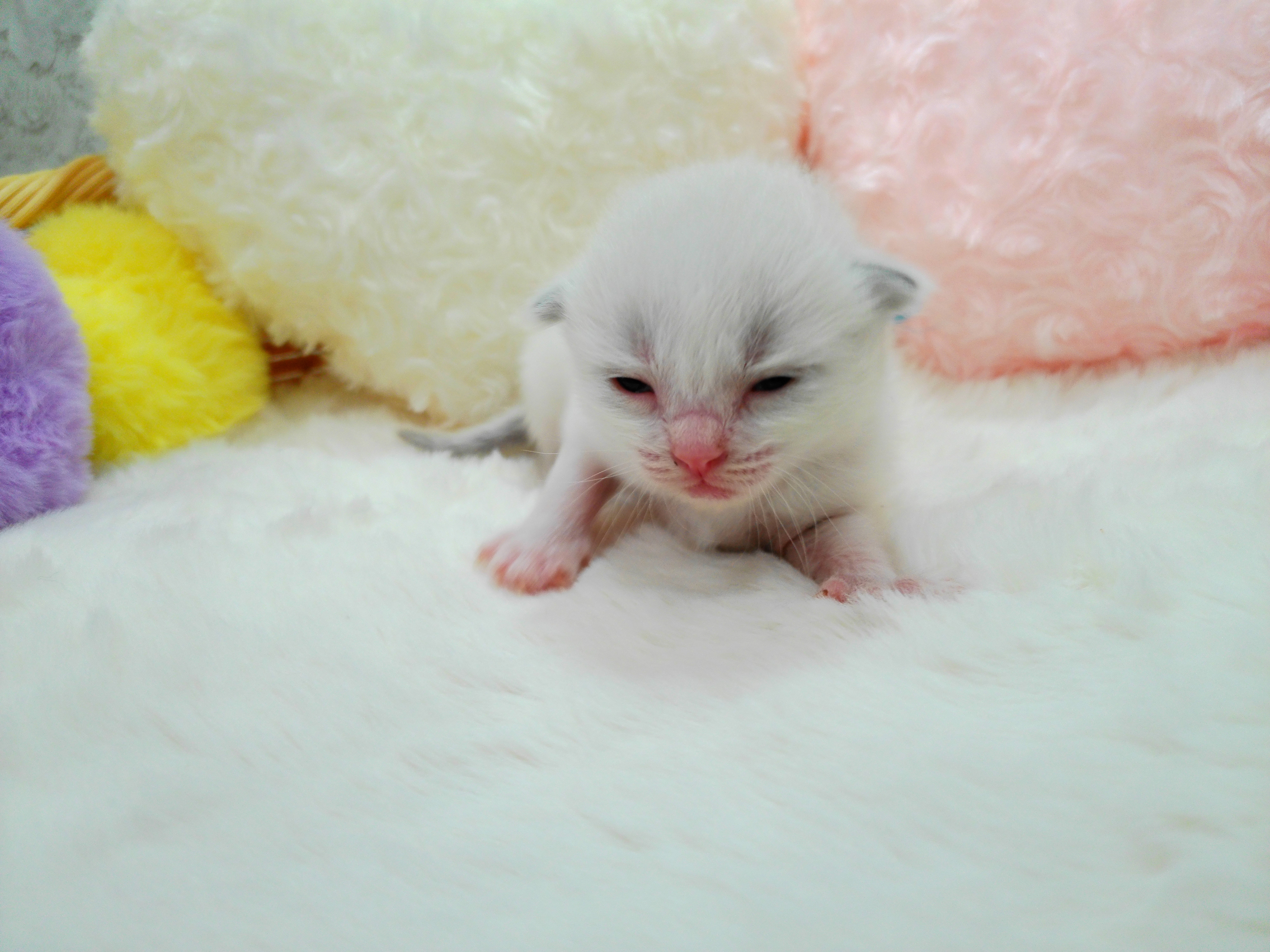 赤ちゃん写真1-1