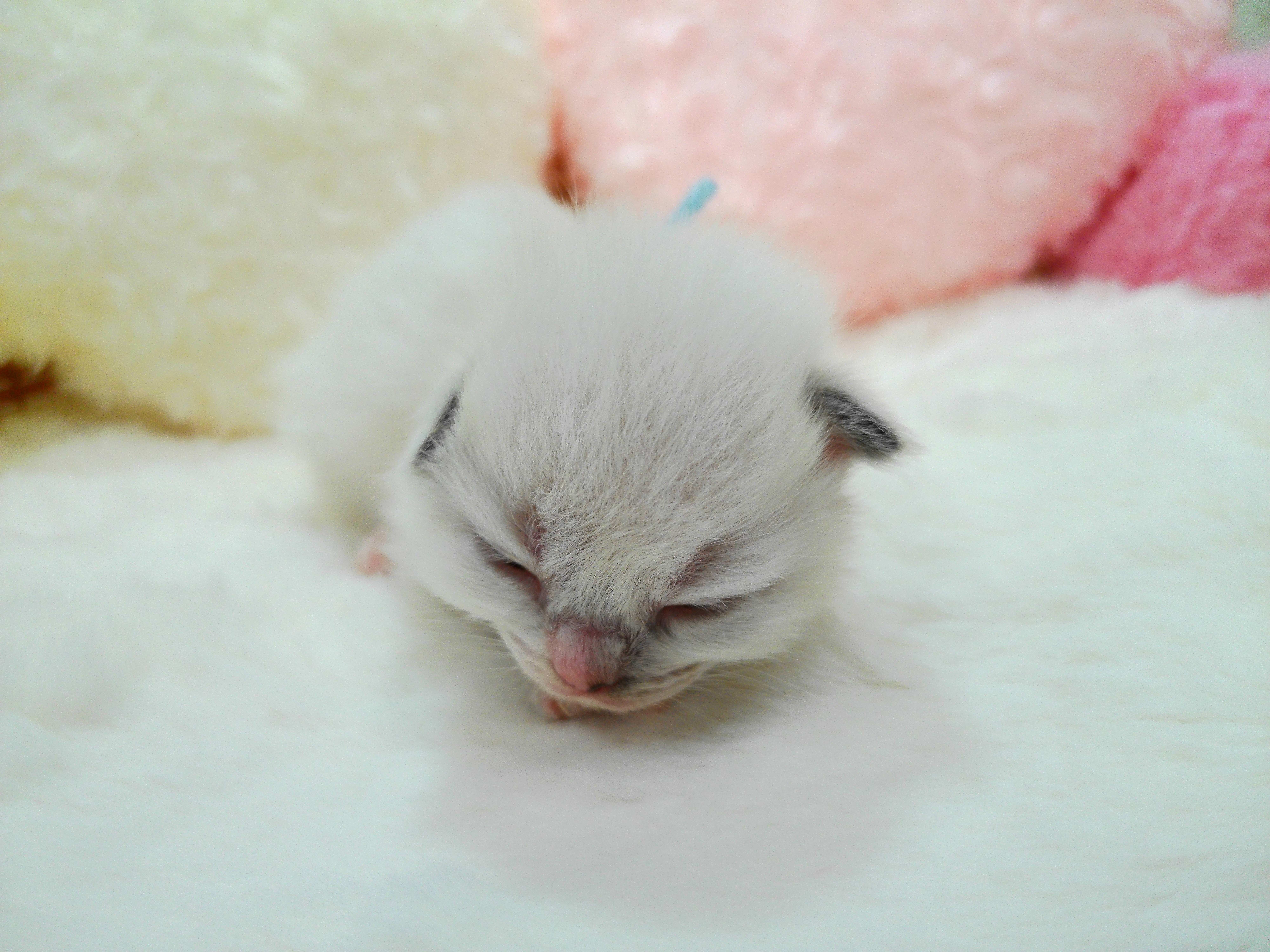 赤ちゃん写真1-1