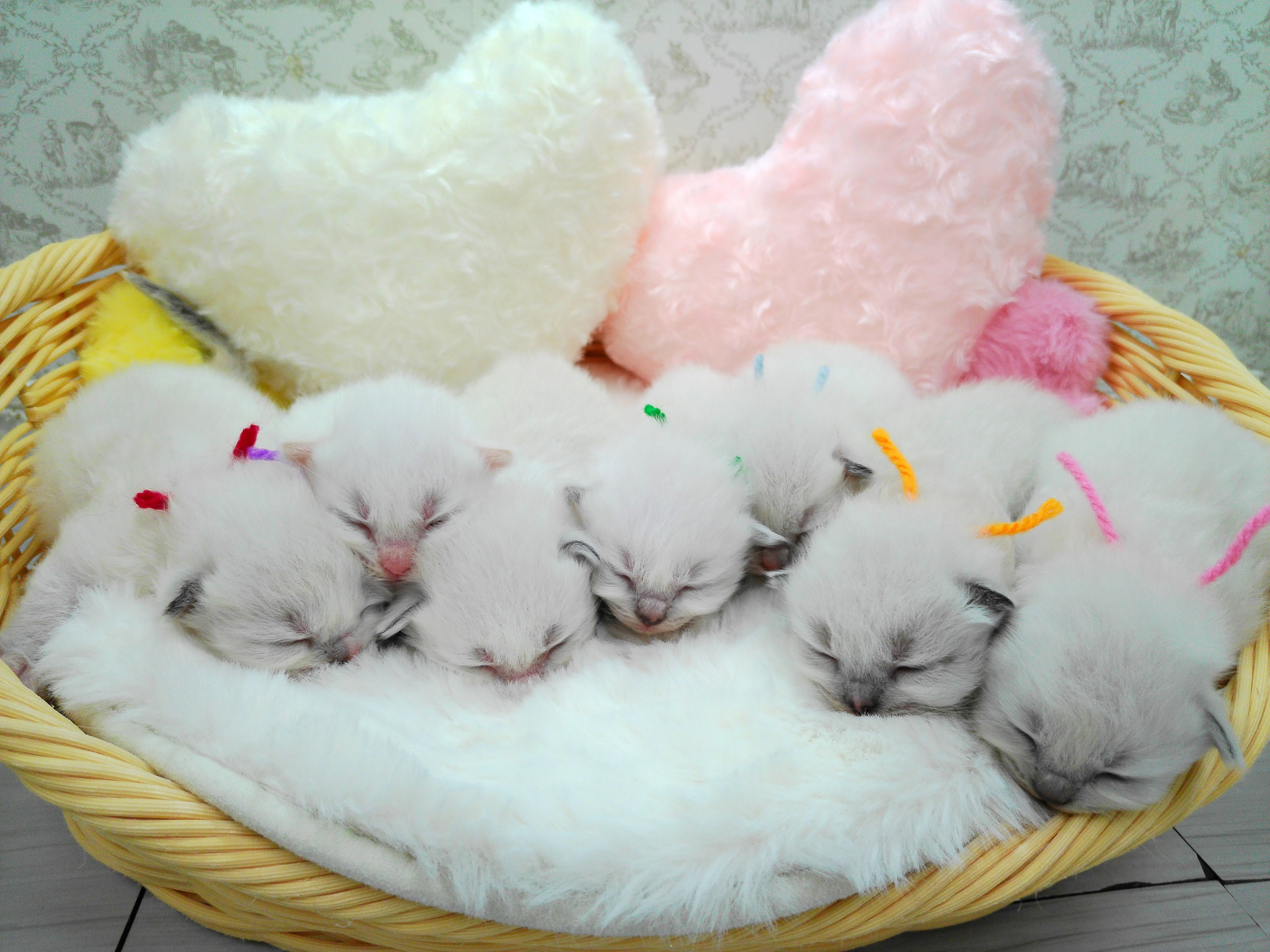 赤ちゃん写真1-3