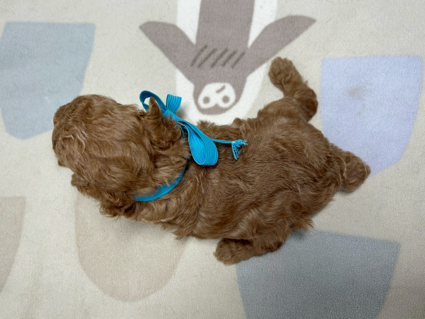 赤ちゃん写真2-3