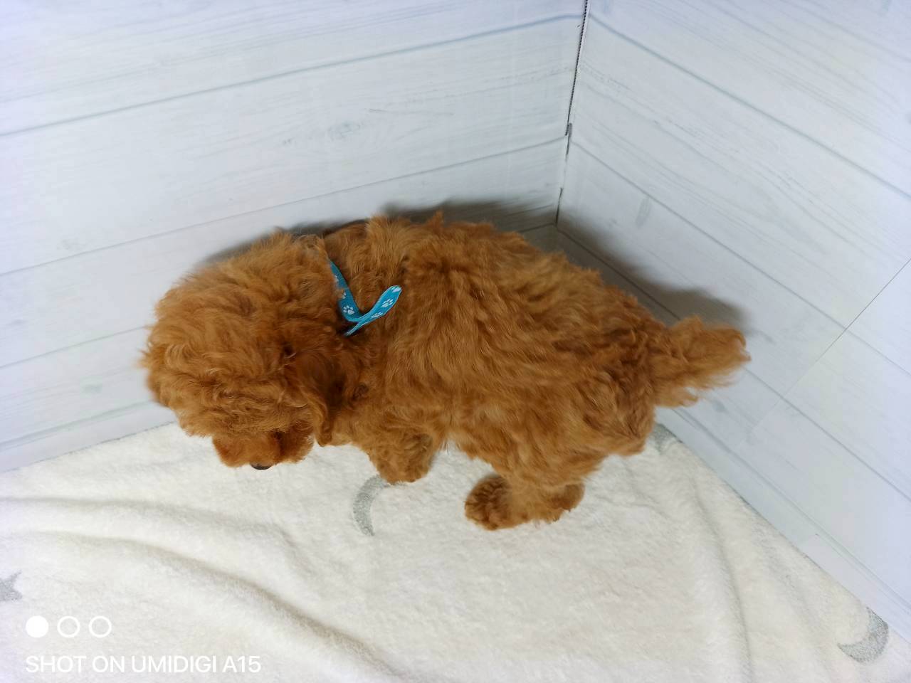赤ちゃん写真3-3
