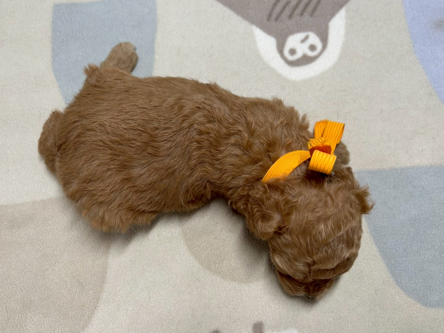 赤ちゃん写真2-3