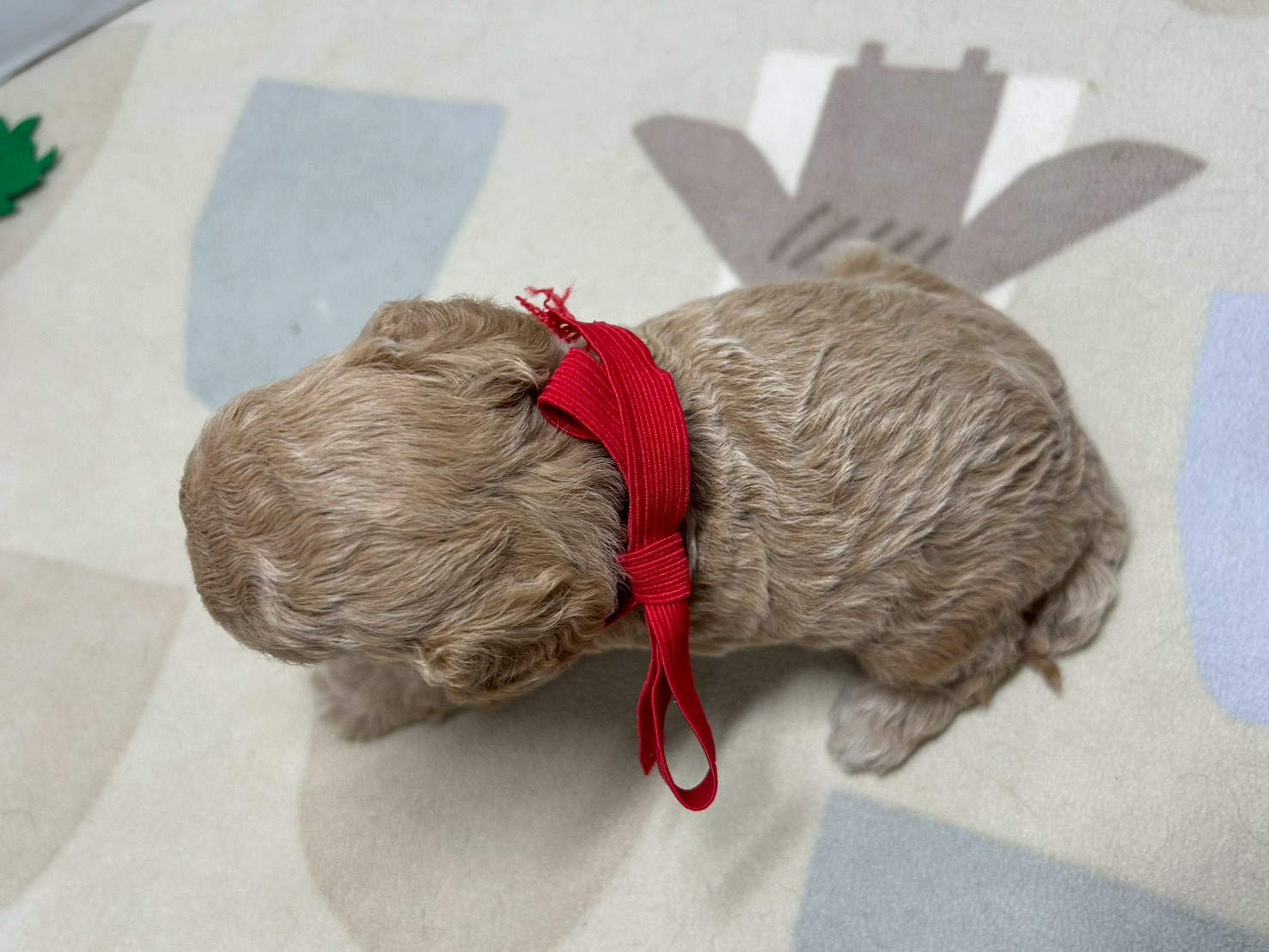 赤ちゃん写真2-3