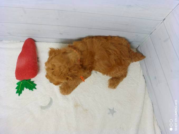 赤ちゃん写真3-3