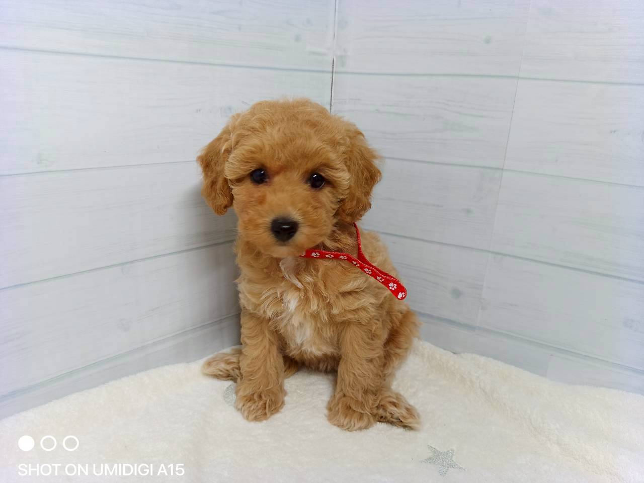 赤ちゃん写真3-1