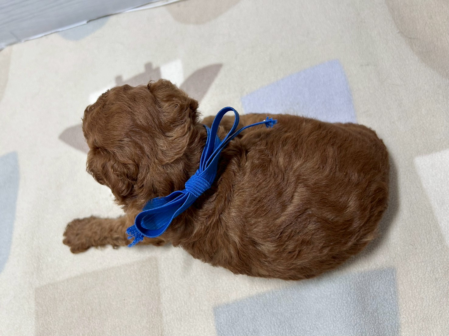赤ちゃん写真2-3