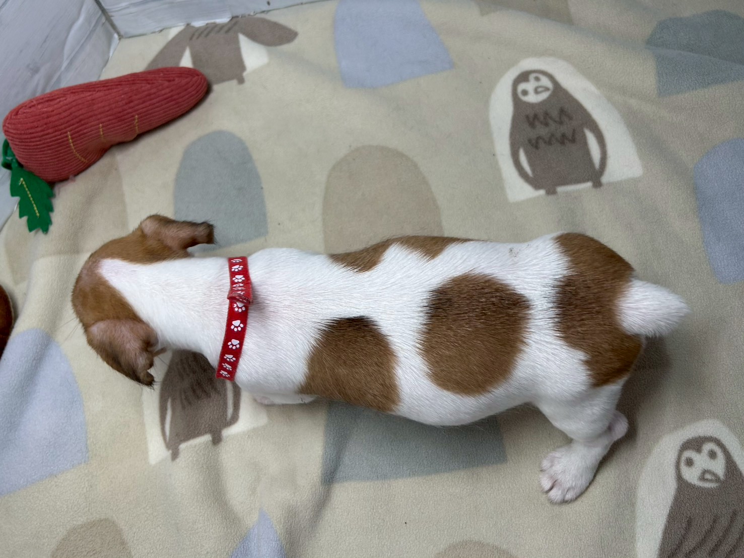赤ちゃん写真3-3