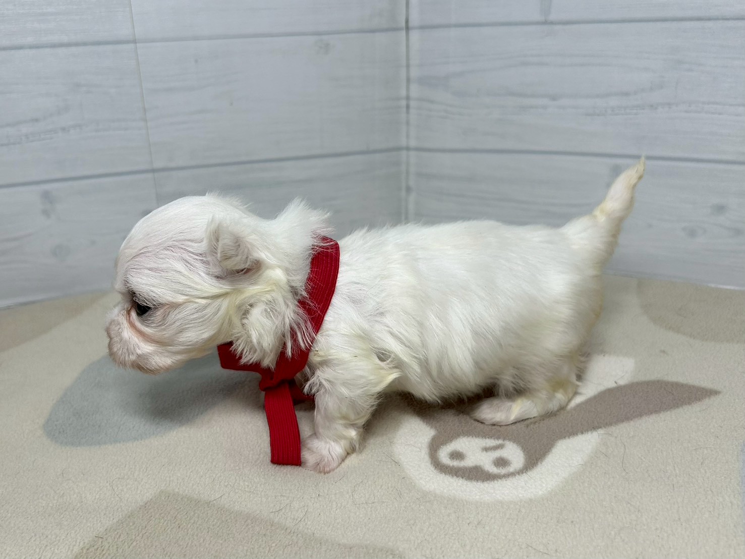 赤ちゃん写真2-2