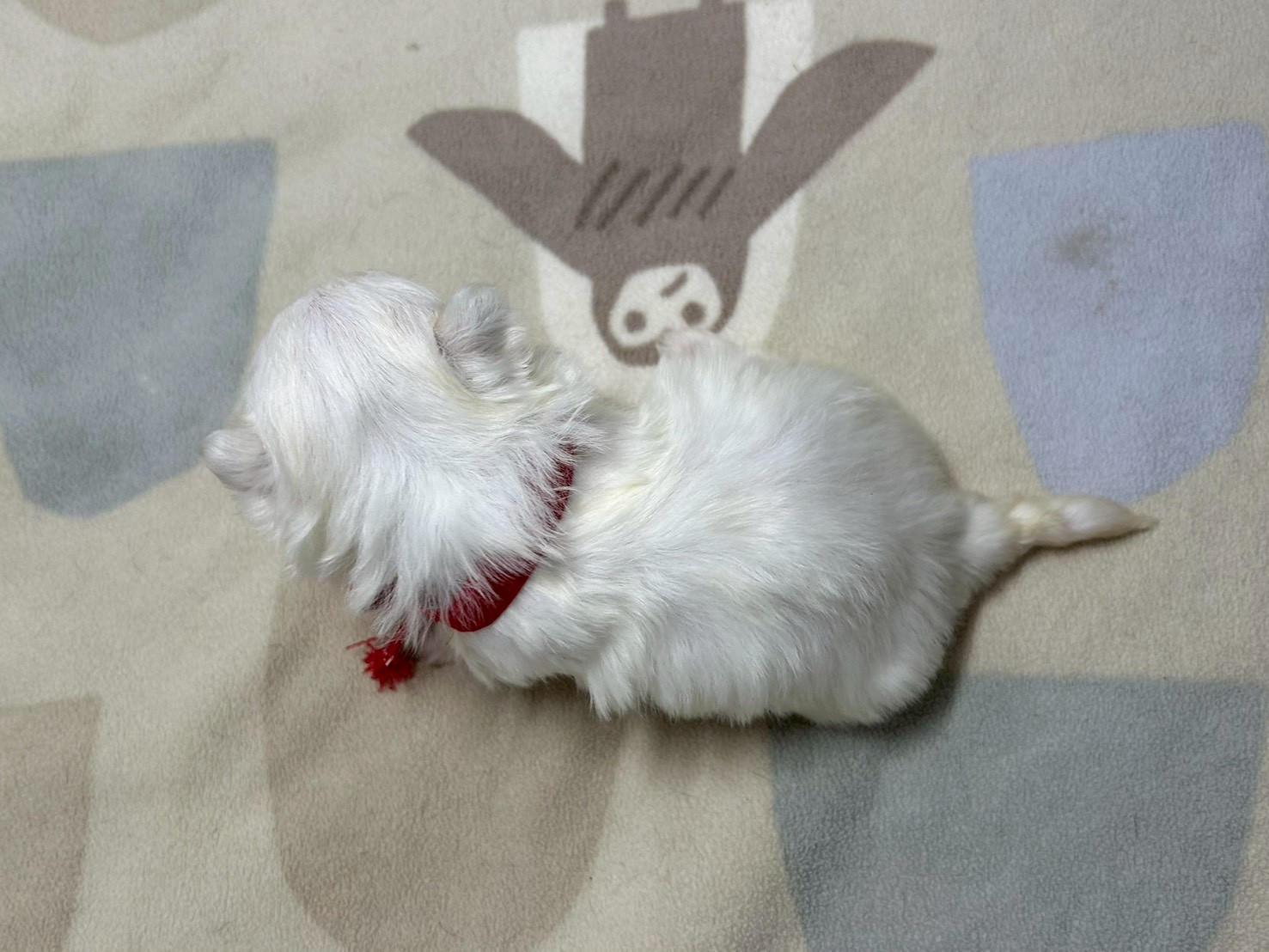 赤ちゃん写真2-3