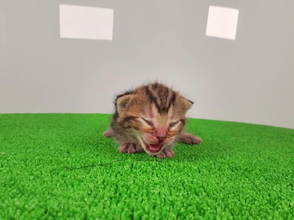 赤ちゃん写真1-1