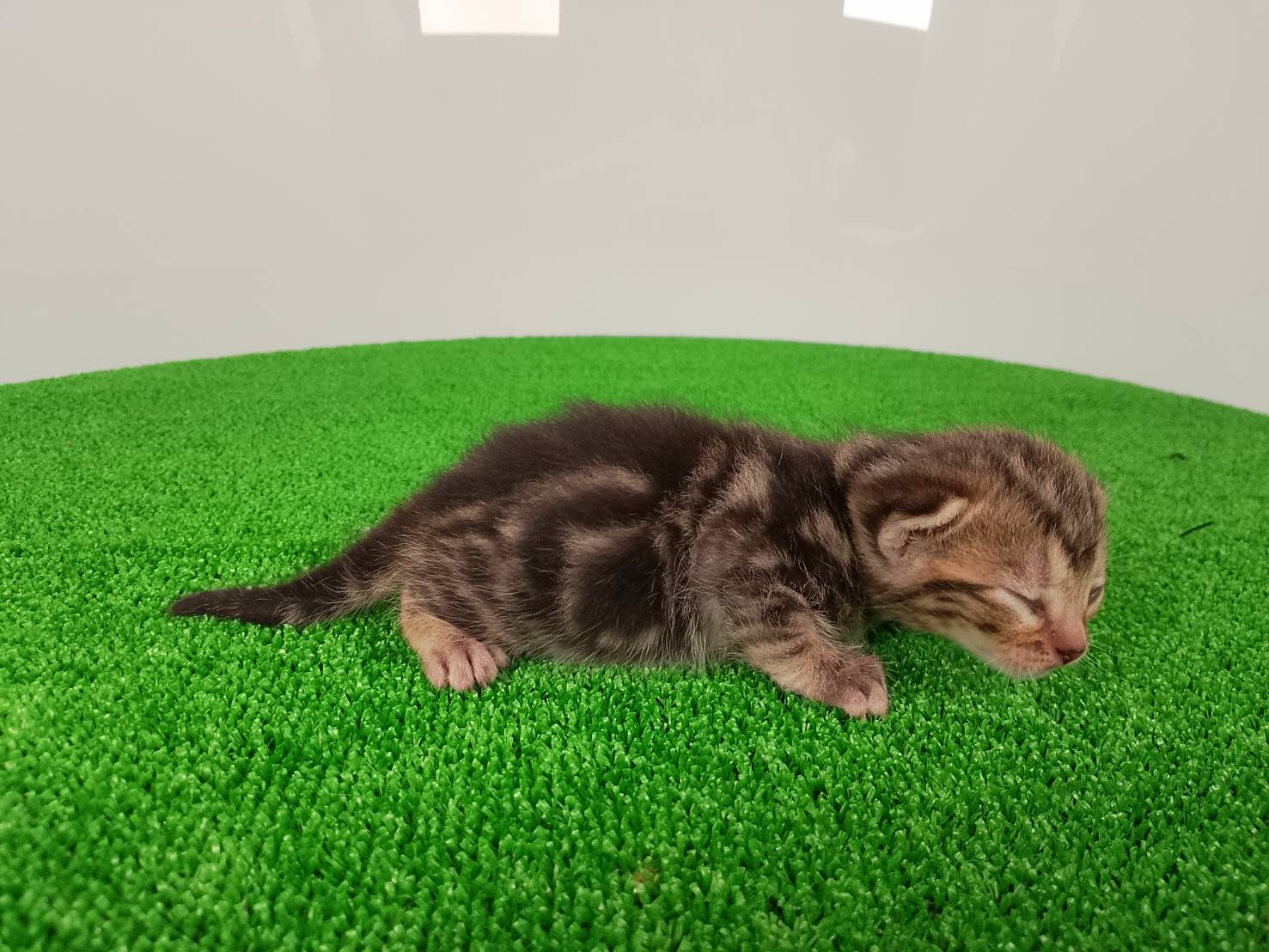赤ちゃん写真1-2