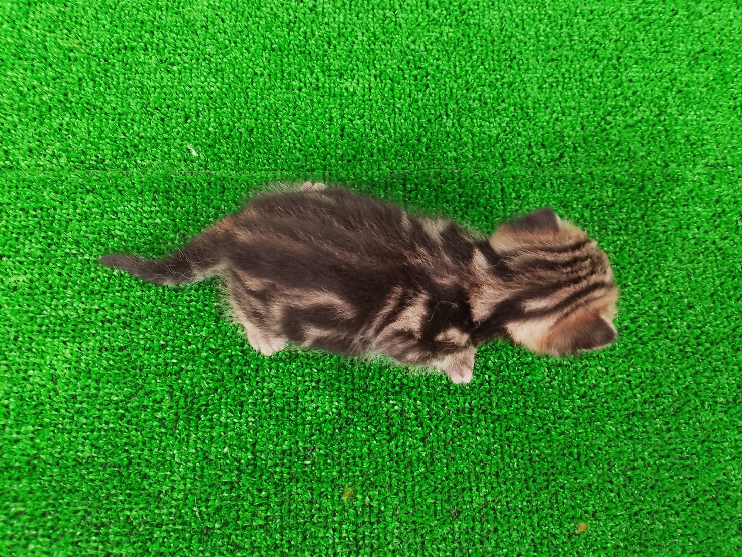 赤ちゃん写真1-3