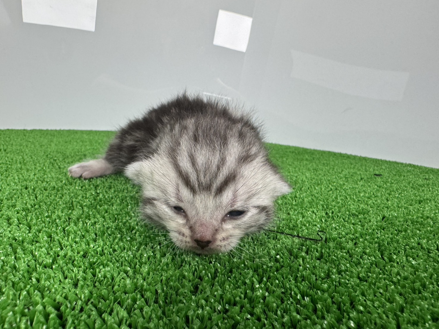 赤ちゃん写真1-1