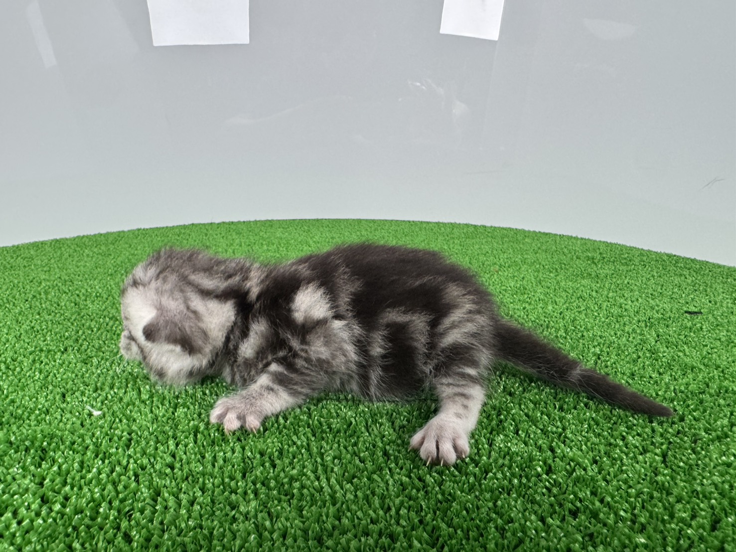 赤ちゃん写真1-2
