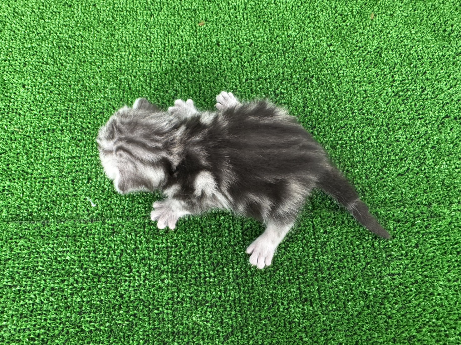 赤ちゃん写真1-3