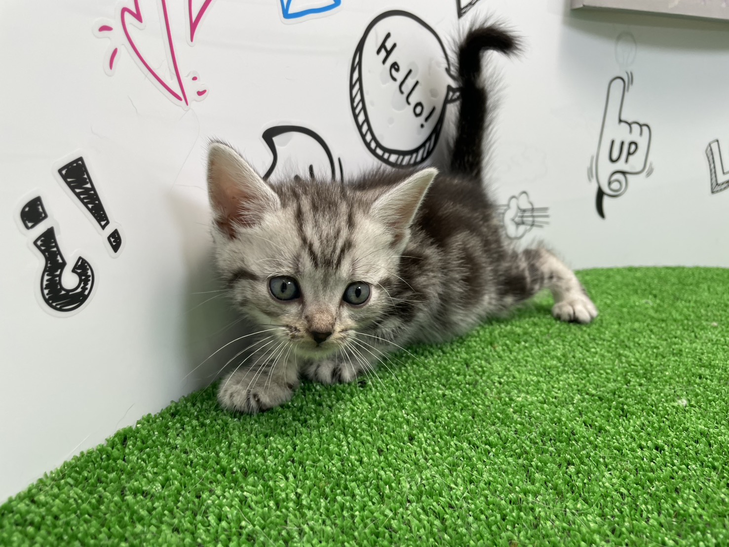 赤ちゃん写真2-1