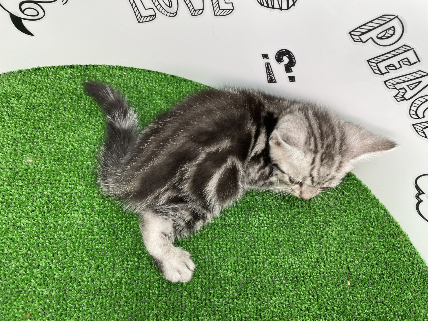 赤ちゃん写真3-3
