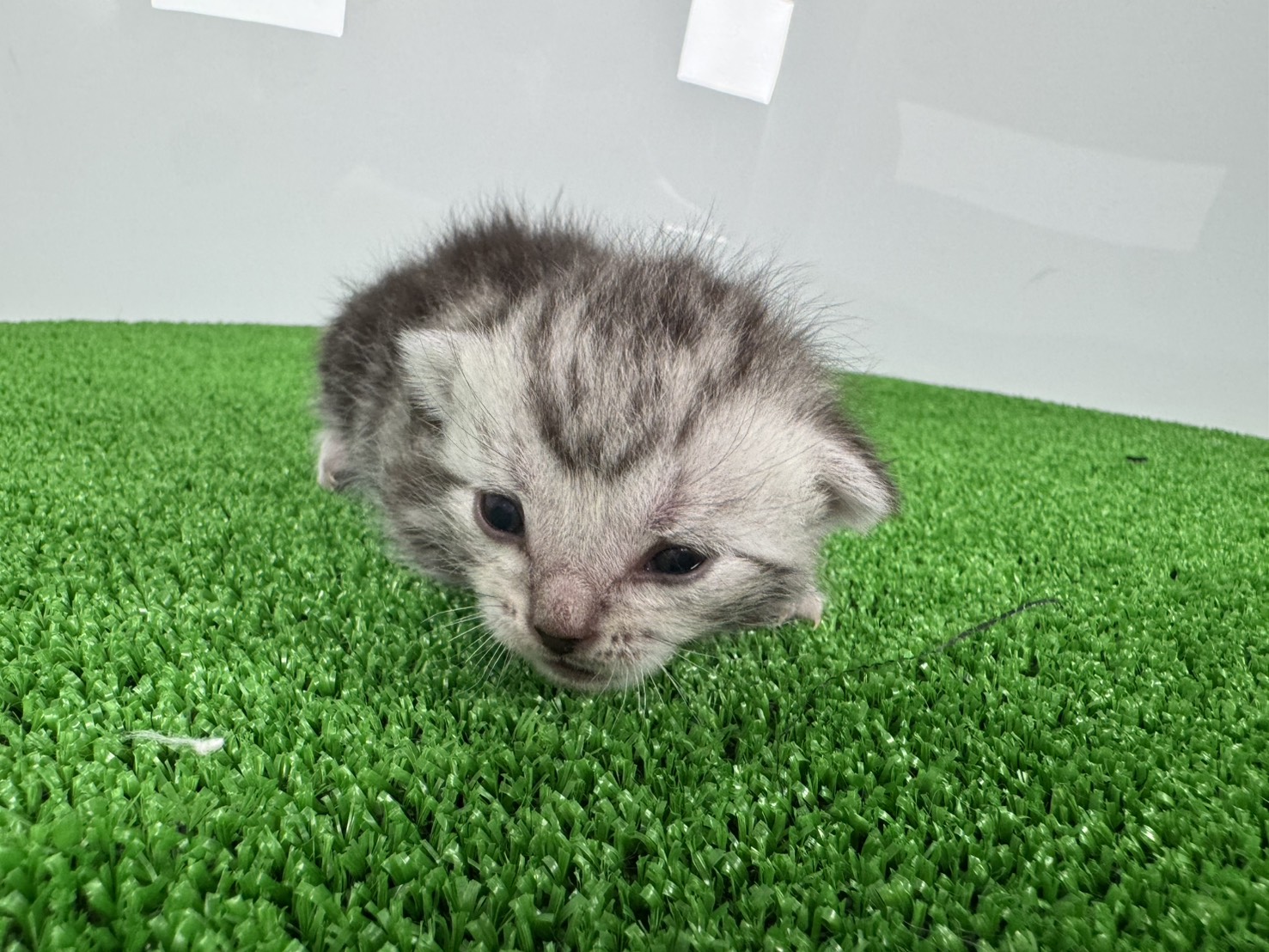 赤ちゃん写真1-1