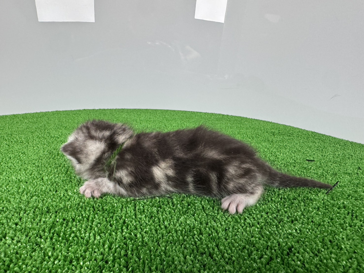 赤ちゃん写真1-2