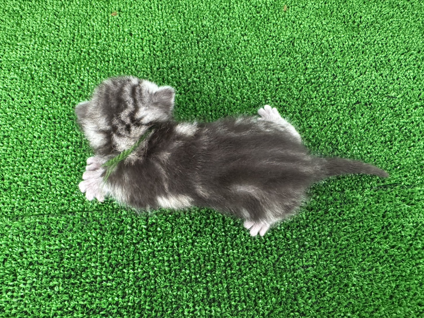赤ちゃん写真1-3