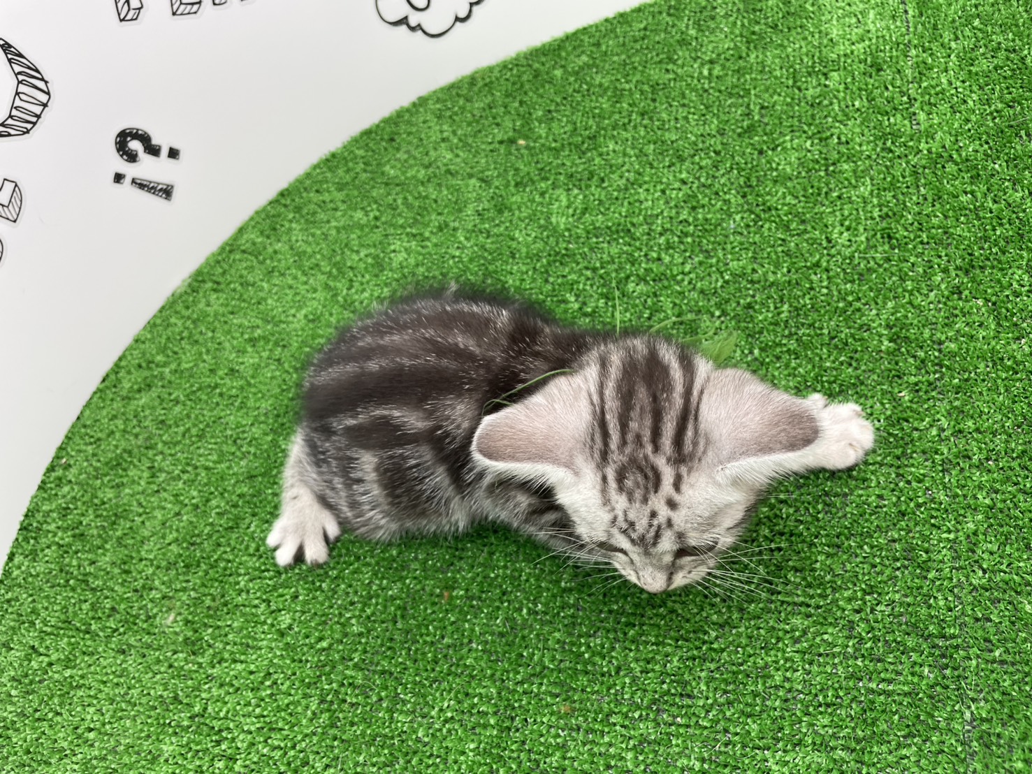 赤ちゃん写真3-3