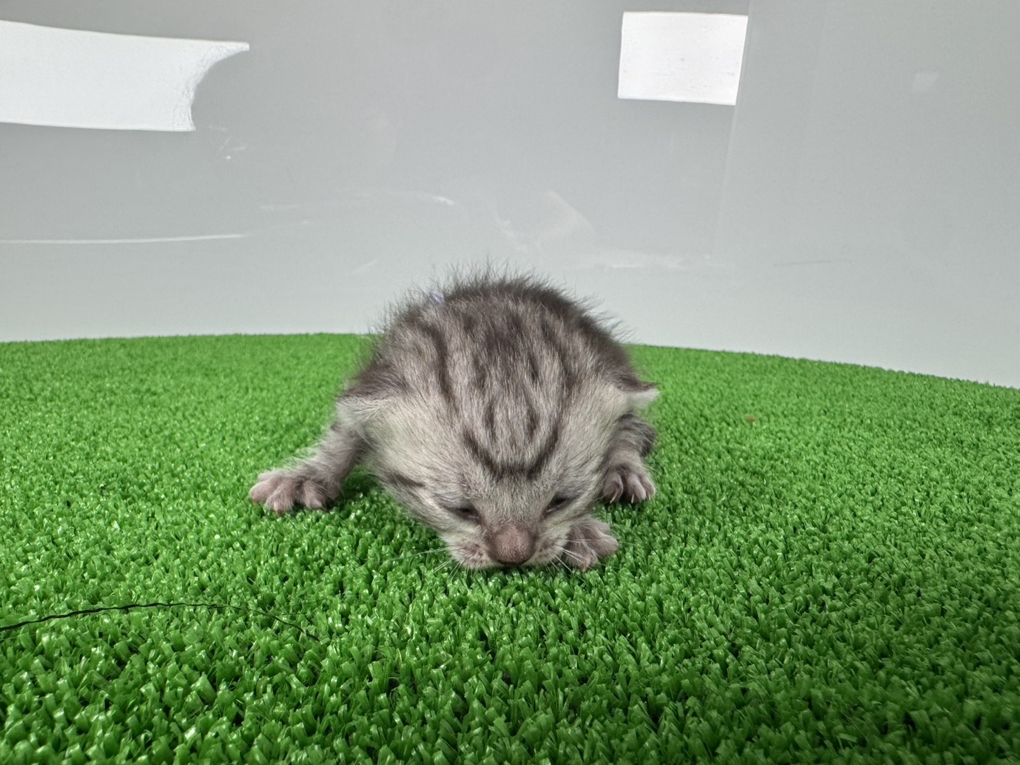 赤ちゃん写真1-1