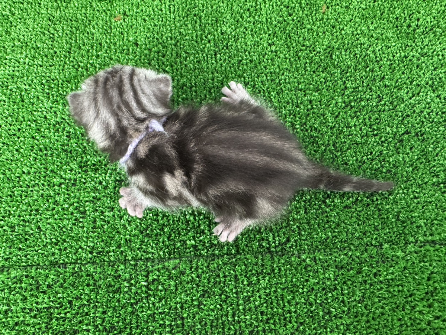 赤ちゃん写真1-3