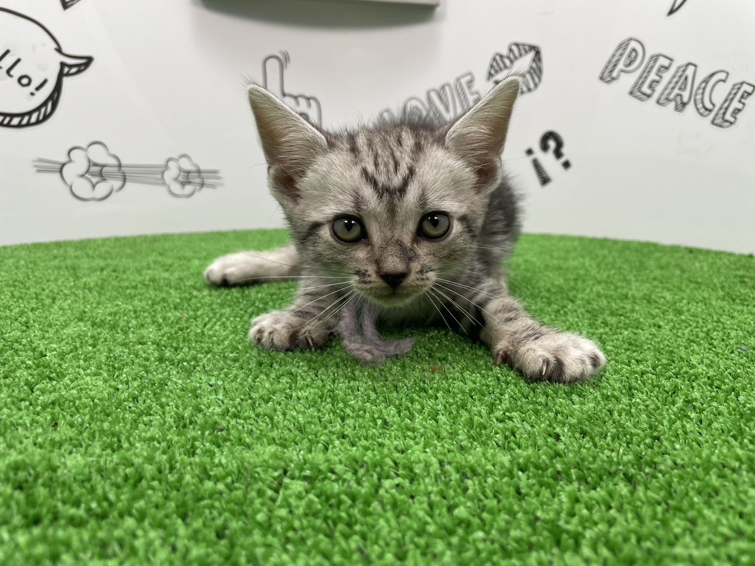 赤ちゃん写真3-1