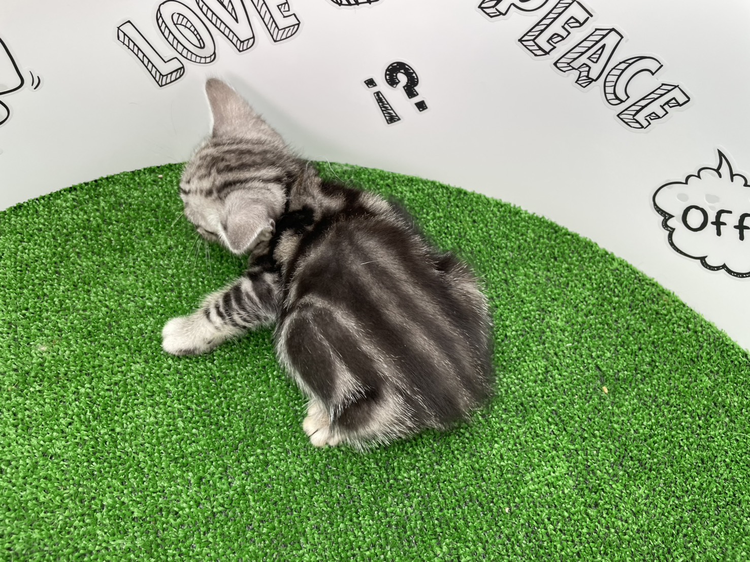 赤ちゃん写真3-3