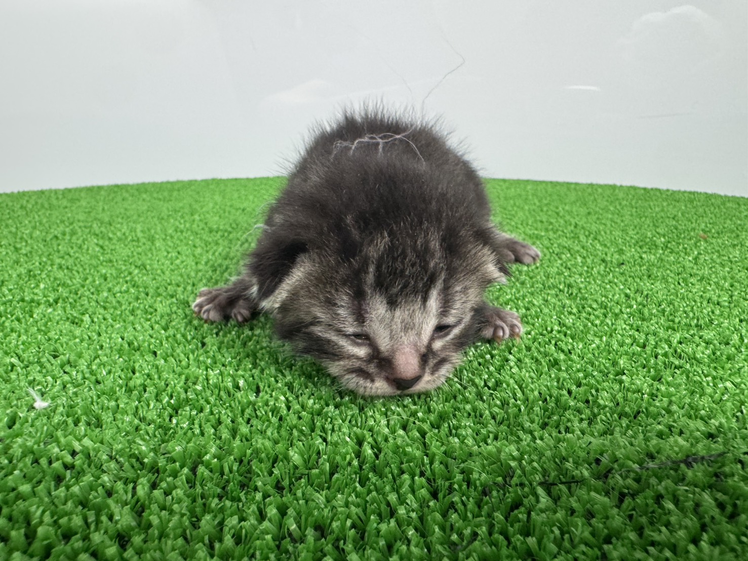 赤ちゃん写真1-1