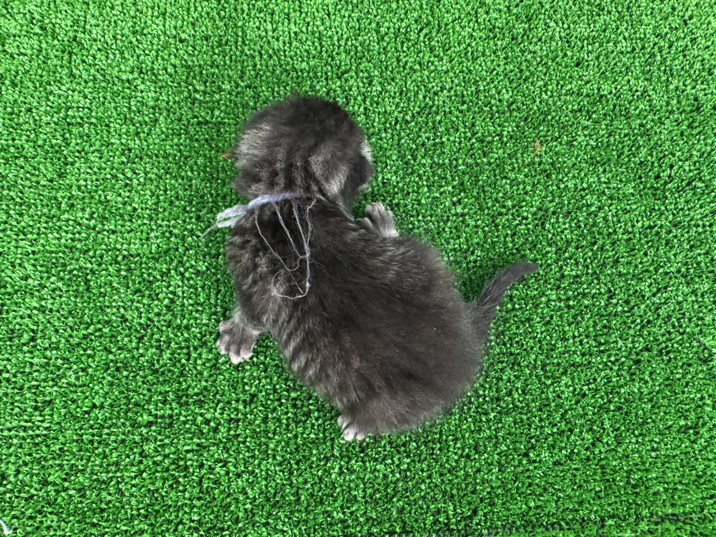 赤ちゃん写真1-3