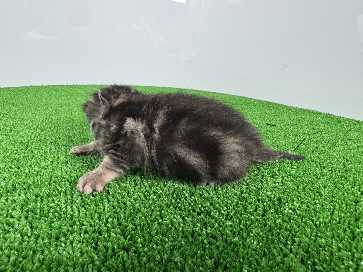 赤ちゃん写真1-2