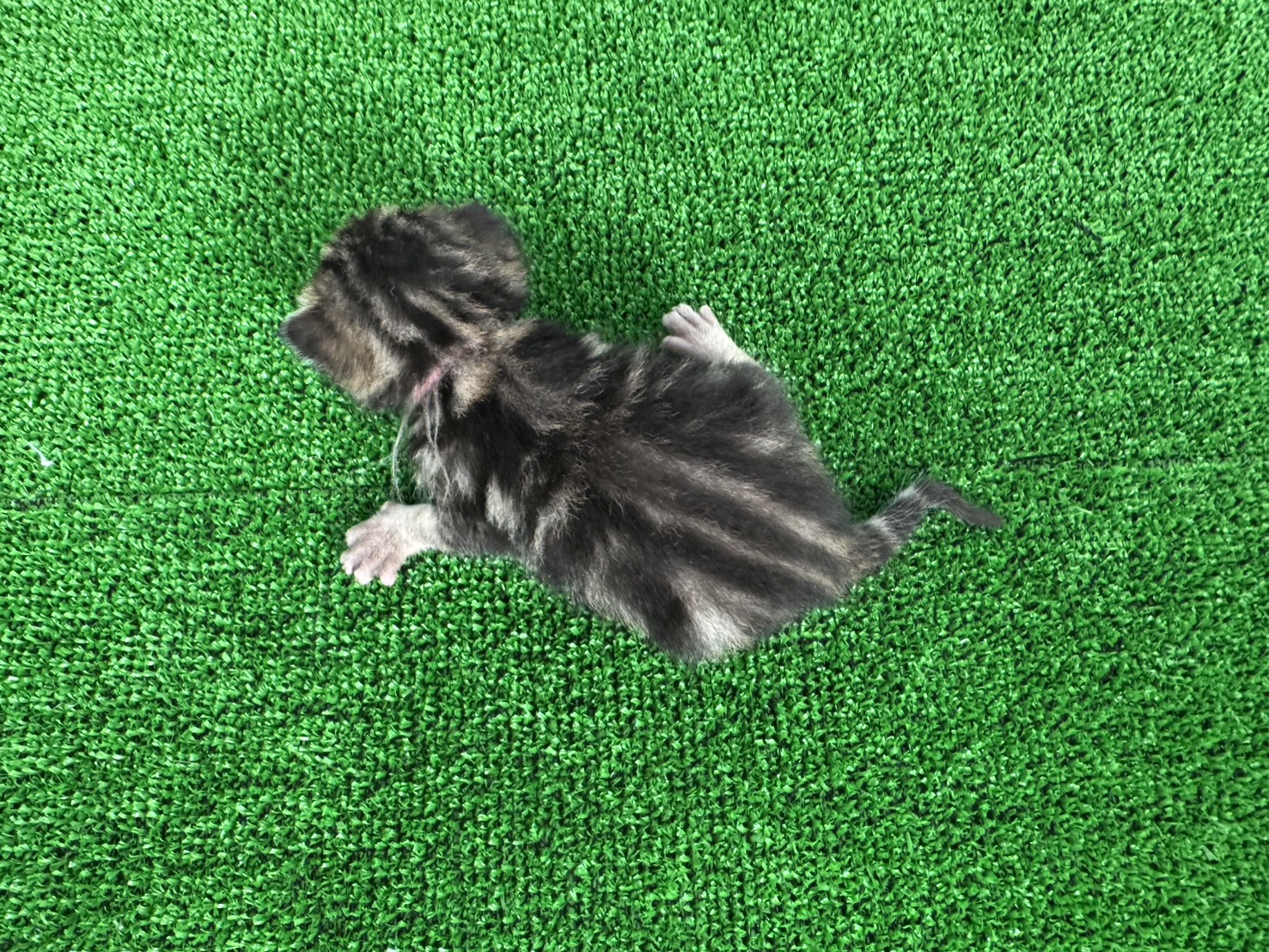 赤ちゃん写真1-3