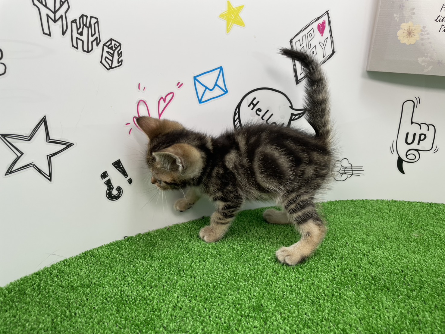 赤ちゃん写真3-2