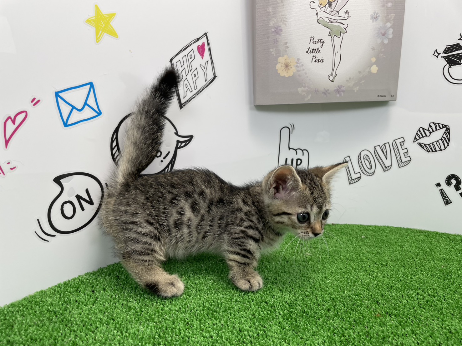 赤ちゃん写真1-2
