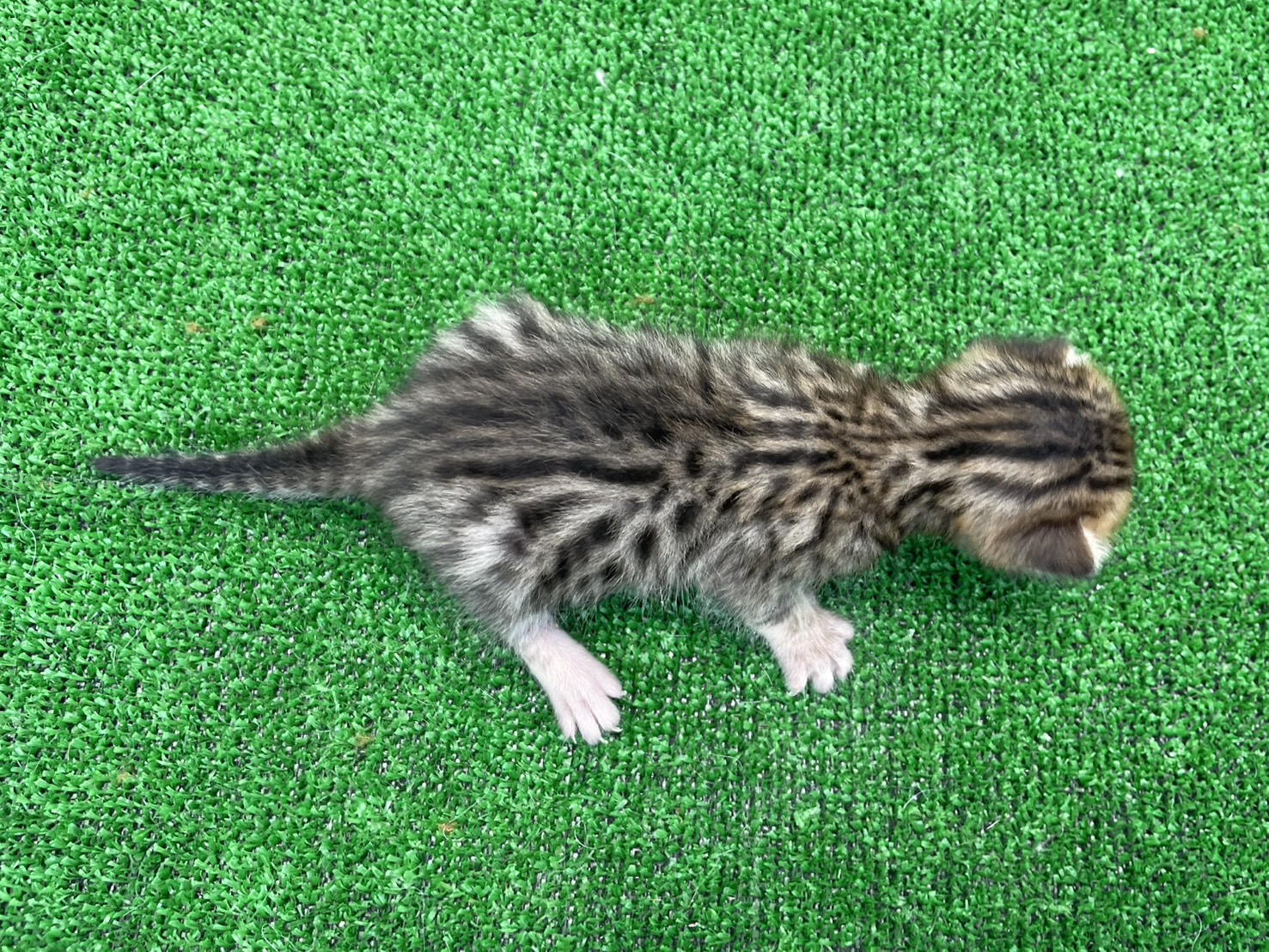 赤ちゃん写真1-3