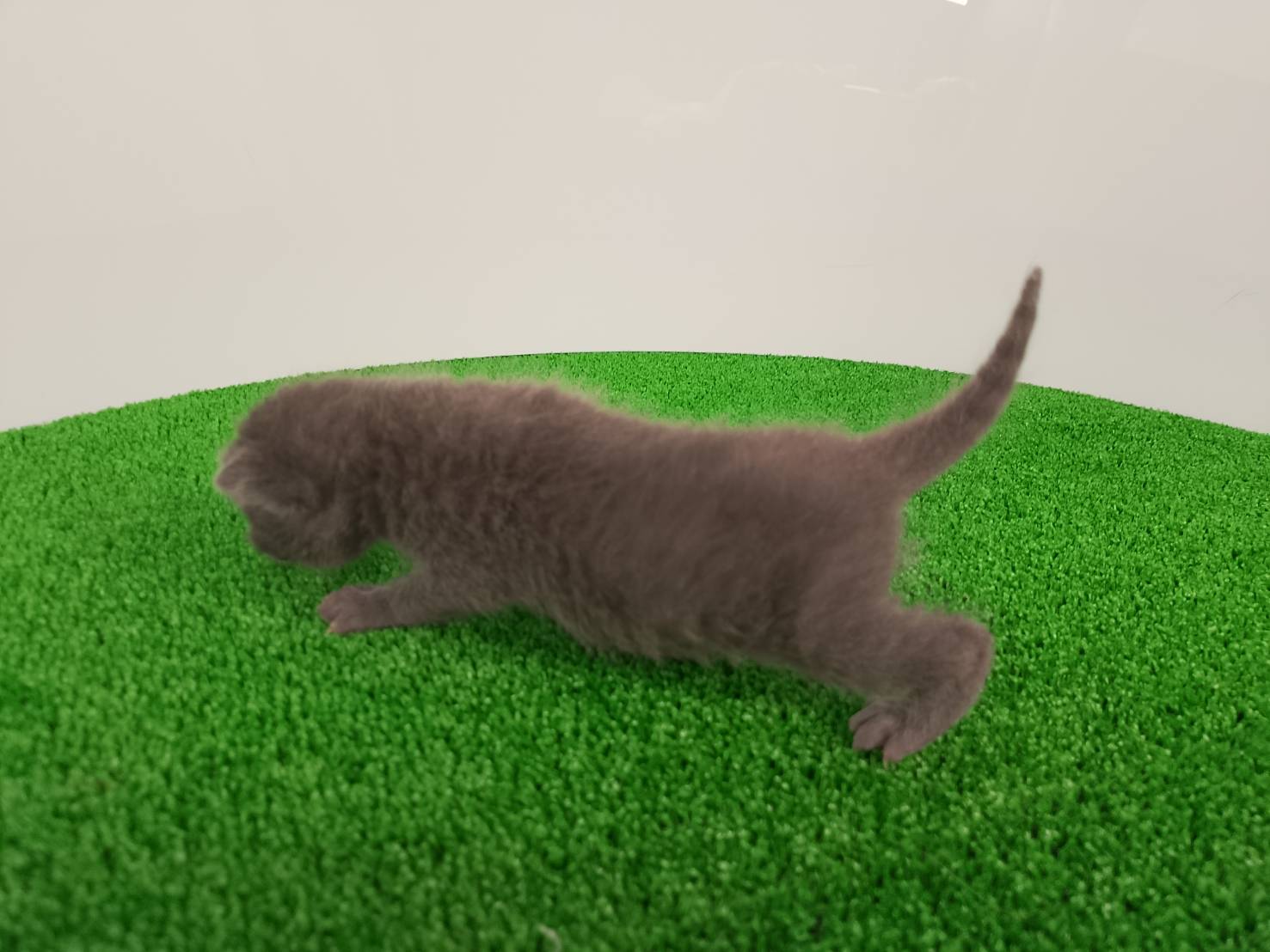 赤ちゃん写真1-2