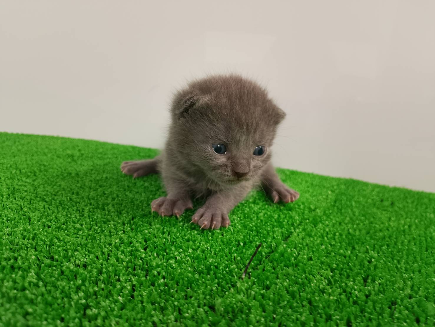 赤ちゃん写真1-3