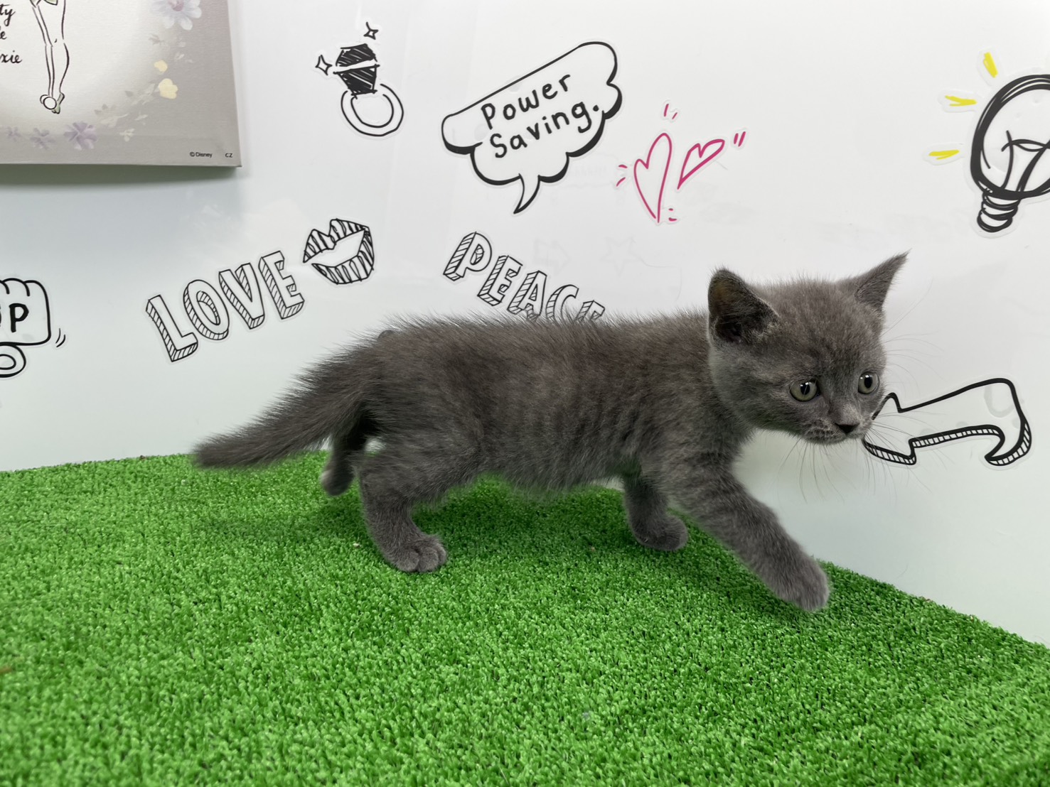 赤ちゃん写真2-2