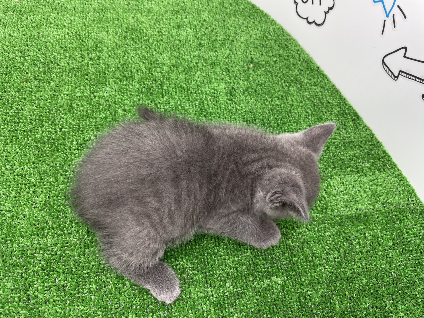 赤ちゃん写真2-3