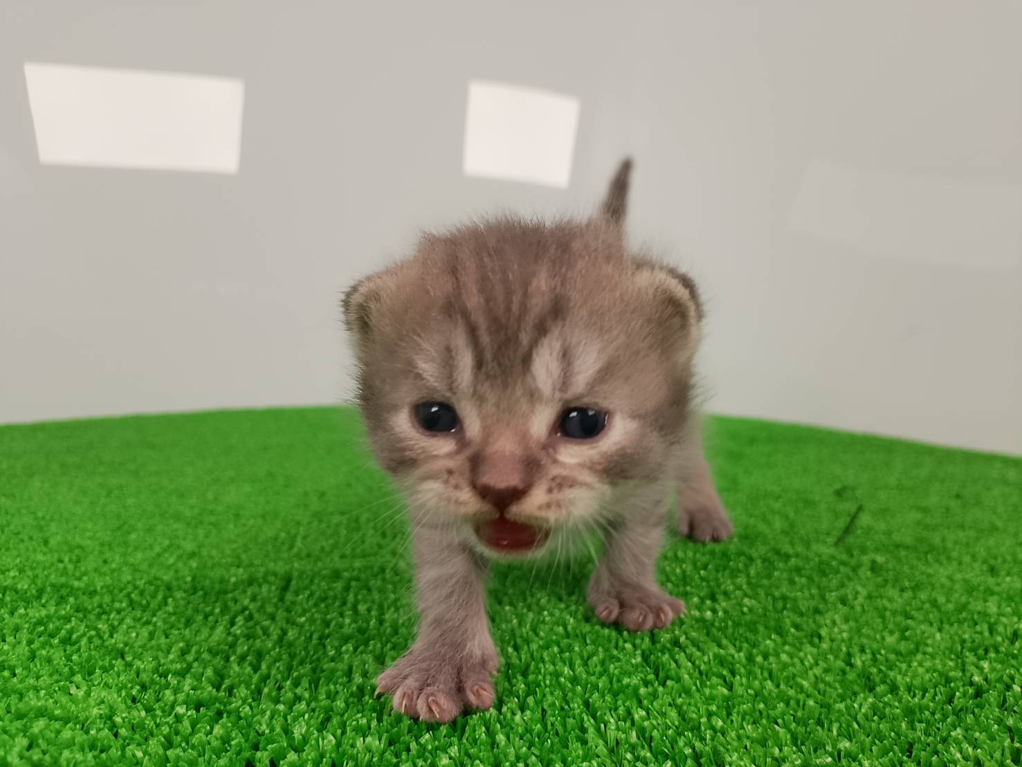 赤ちゃん写真1-1