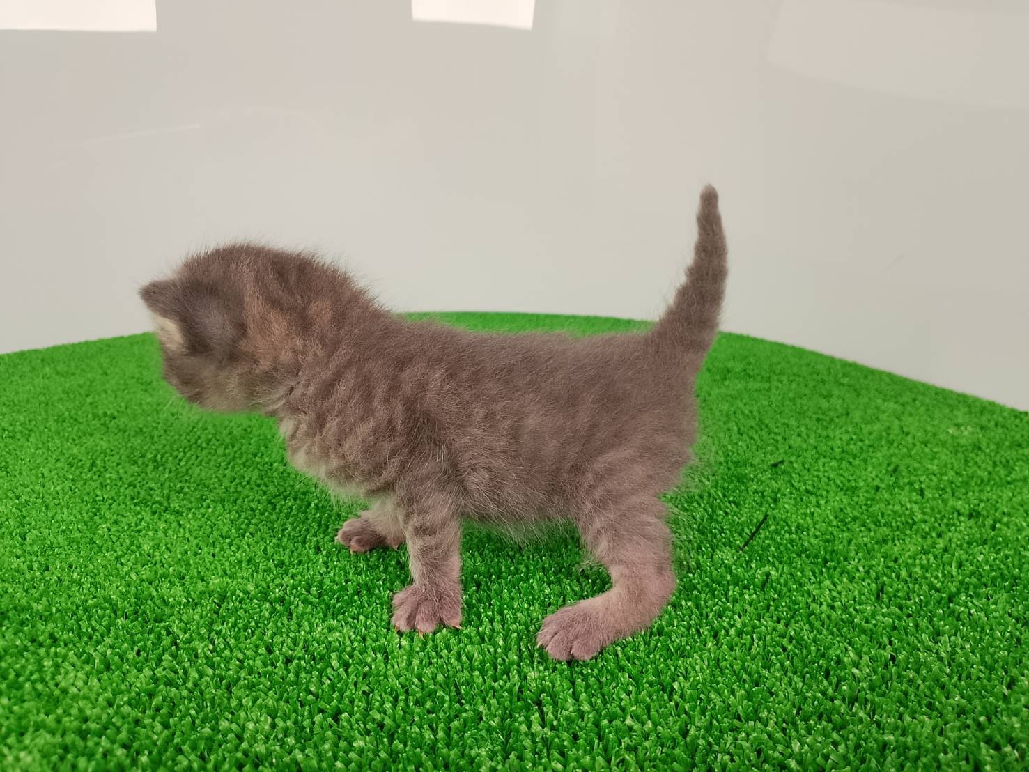 赤ちゃん写真1-2
