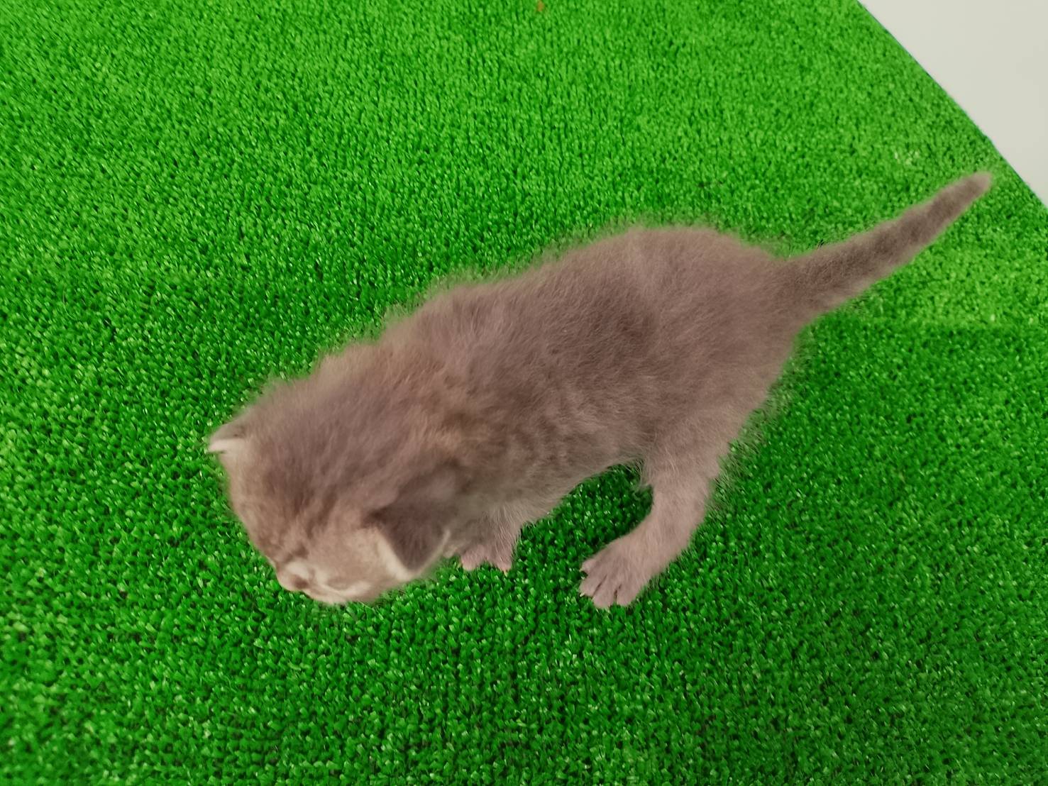 赤ちゃん写真1-3