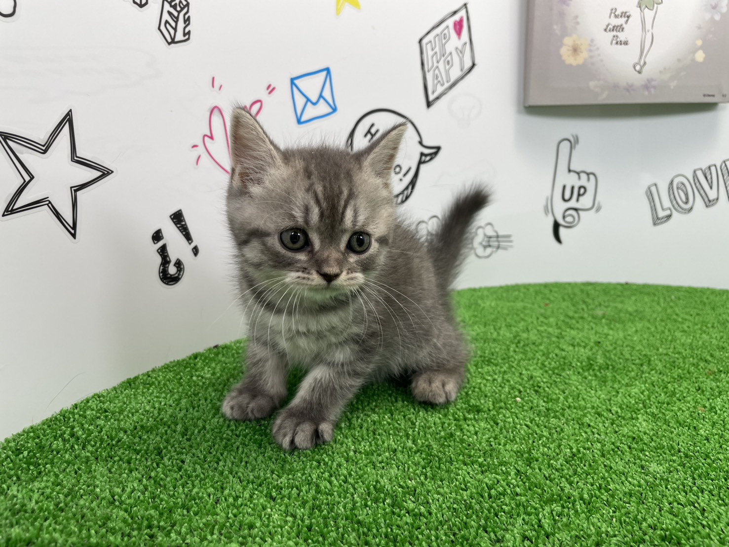 赤ちゃん写真2-1